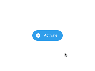 Button Animation